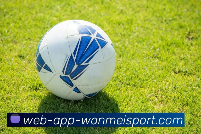 完美体育appAPP 封面图